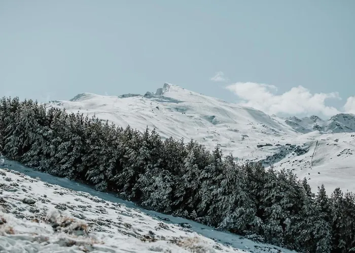 Lejlighed Luxury 3bed Penthouse By Slope - *